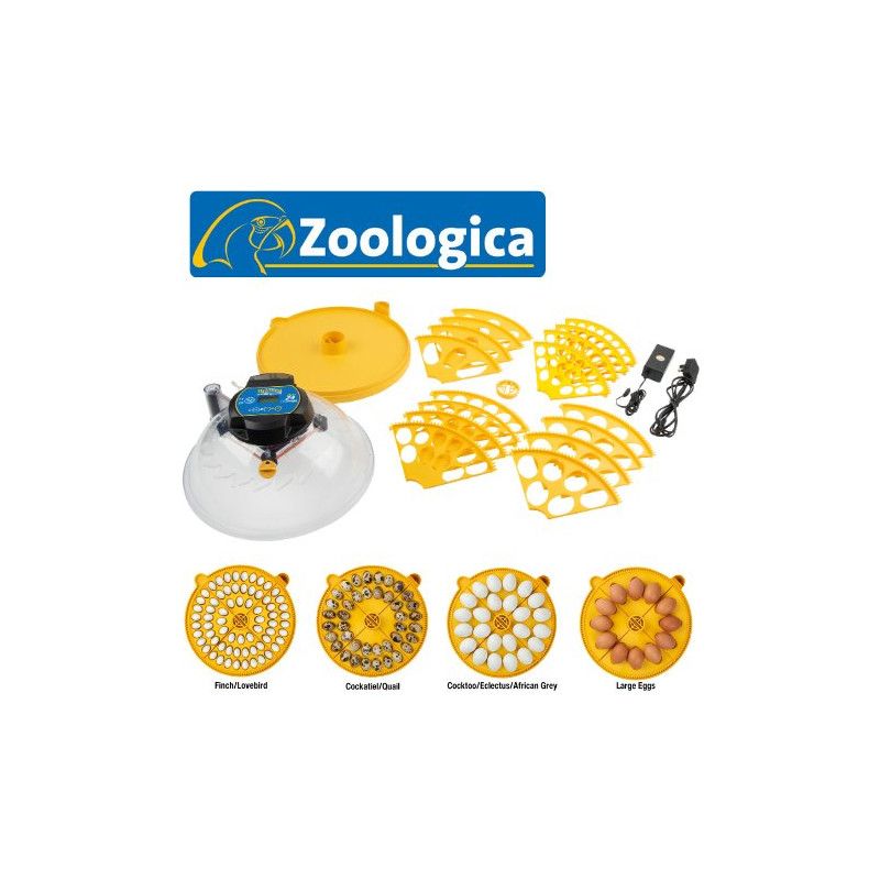 Incubadora Automática, Maxi 24 Zoológica, Brinsea Inglesa - Imagen 4
