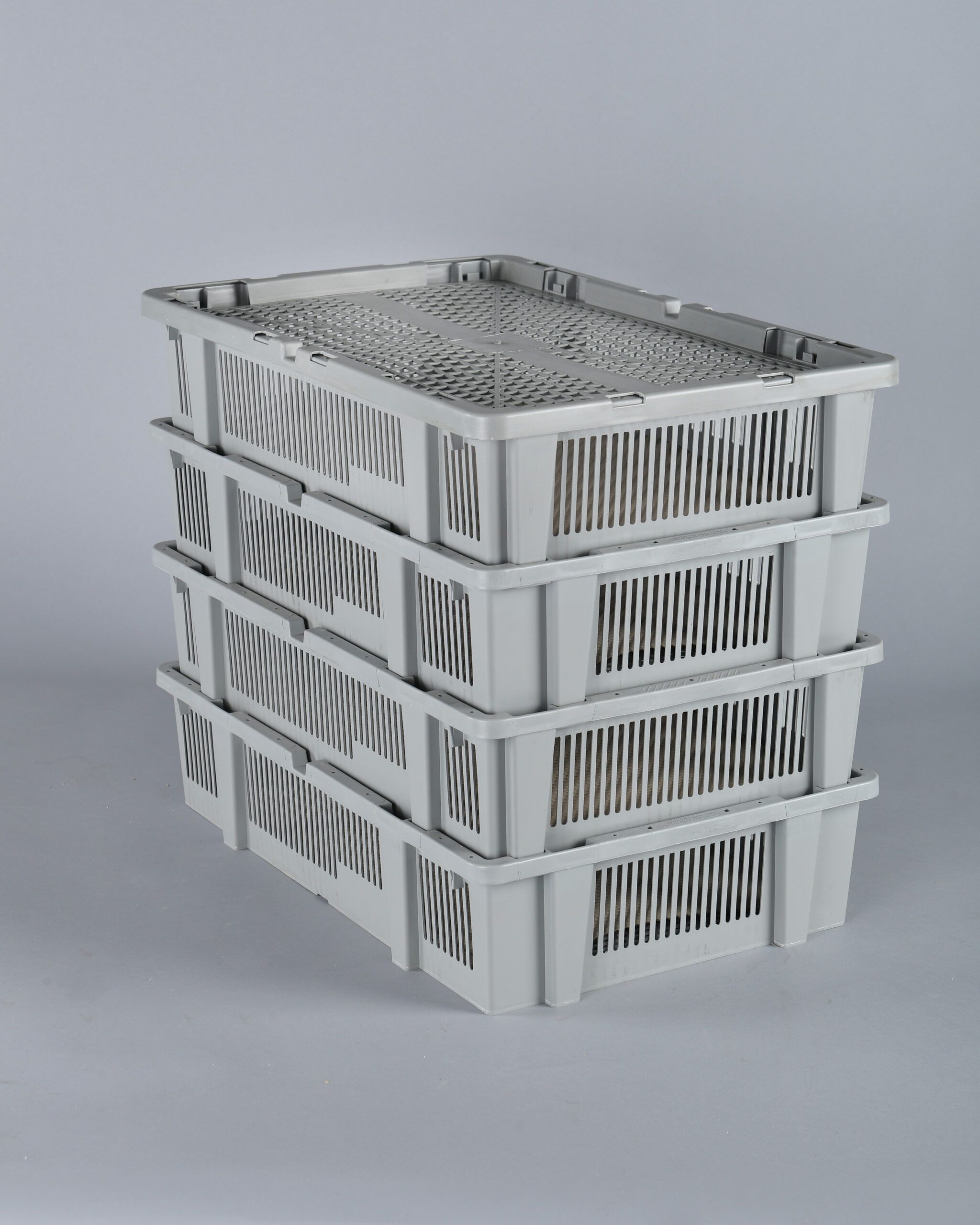 Nacedora Automatica MG316H, 320 Huevos Eclosión, tecnología Italiana - Imagen 5