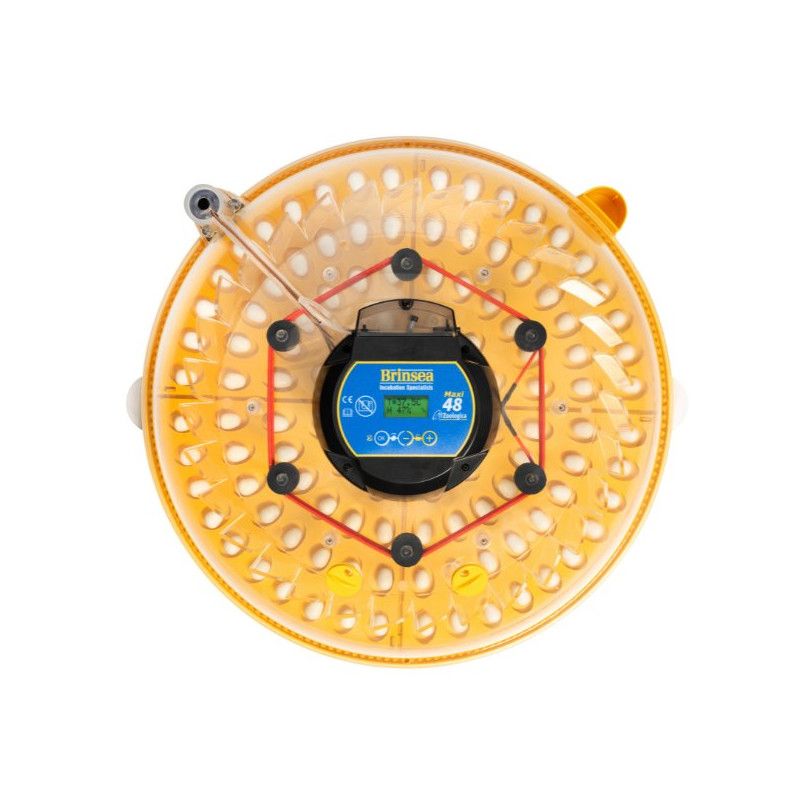 Incubadora Automática, Maxi 48 Zoológica, Brinsea Inglesa - Imagen 2
