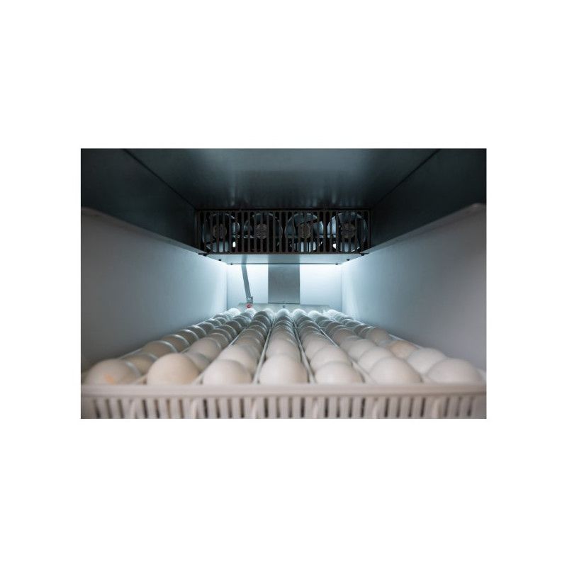 Incubadora Ova Easy 190 EX Serie III, Brinsea Inglesa - Imagen 3